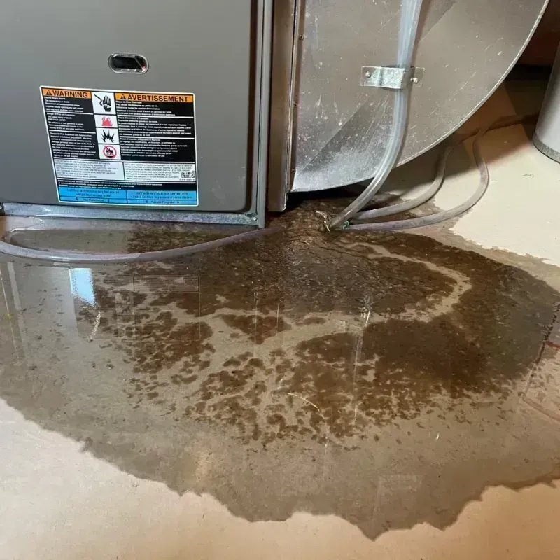 Appliance Leak Cleanup in Greenfield, OH